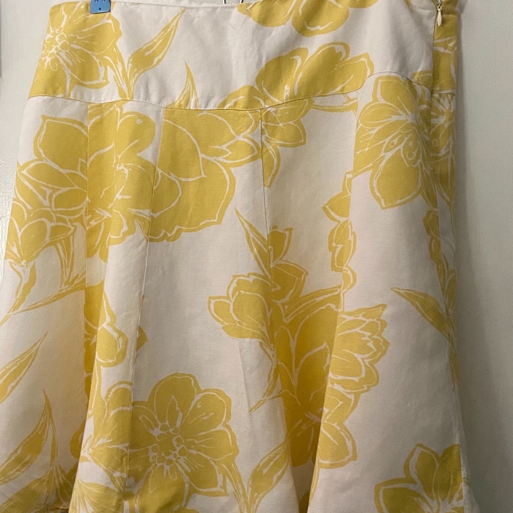 Ann Taylor skirt